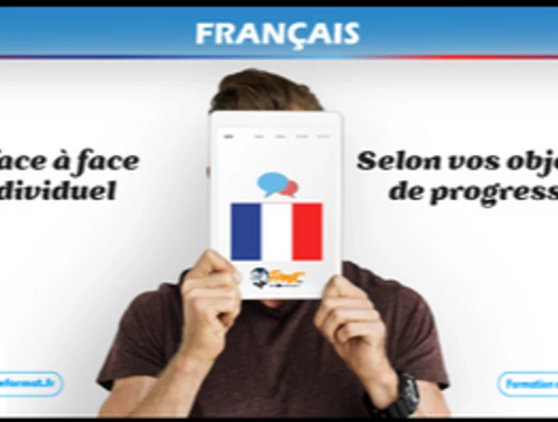 Français Langue Étrangère (FLE) - Maitrise professionnelle de la langue